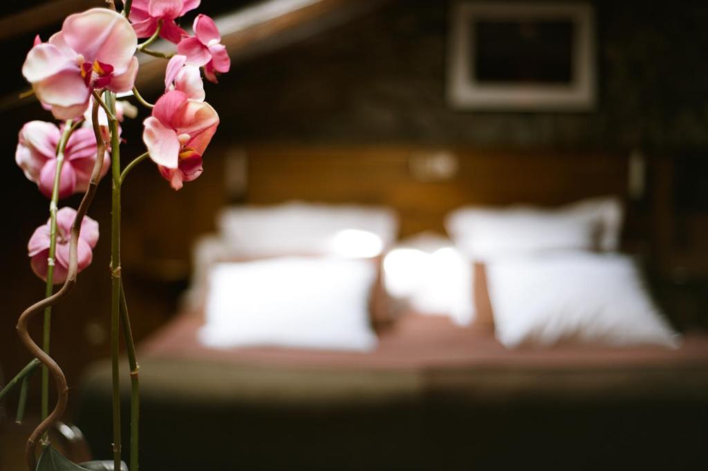 Hostal Cisco De Sans 안도라라베야 객실 사진